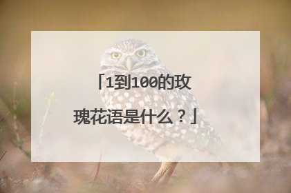 1到100的玫瑰花语是什么?
