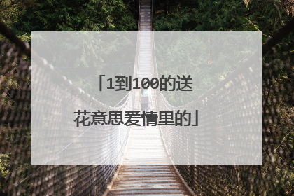 1到100的送花意思爱情里的