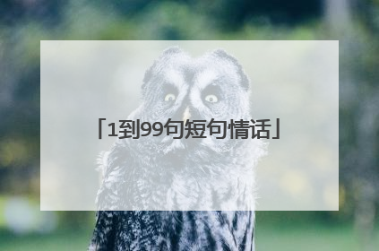 1到99句短句情话