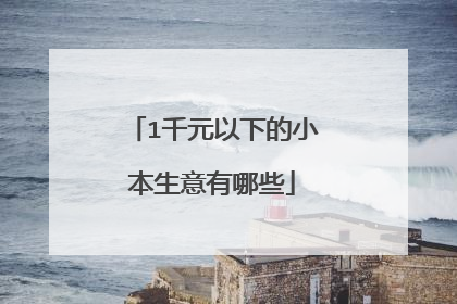 1千元以下的小本生意有哪些