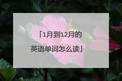 1月到12月的英语单词怎么读