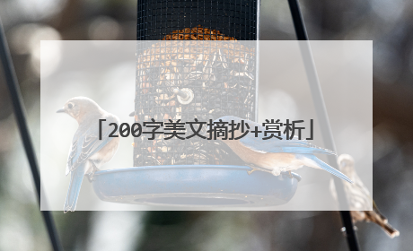 200字美文摘抄+赏析