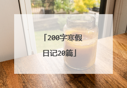 200字寒假日记20篇