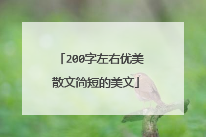 200字左右优美散文简短的美文