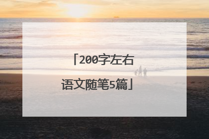 200字左右语文随笔5篇