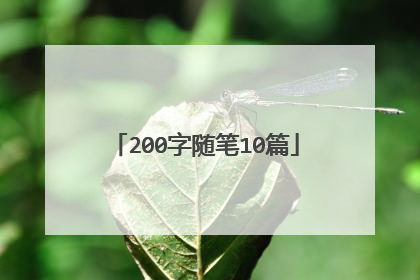 200字随笔10篇