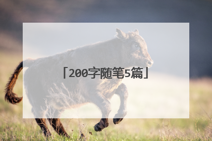 200字随笔5篇