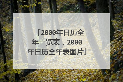 2000年日历全年一览表,2000年日历全年表图片