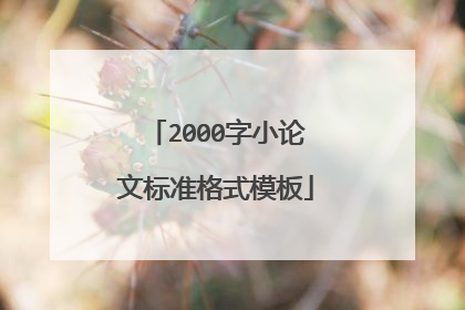 2000字小论文标准格式模板