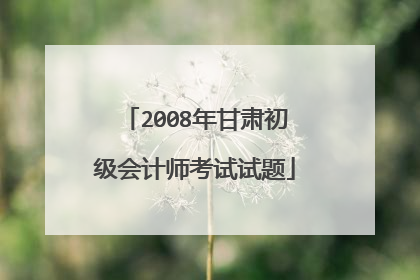 2008年甘肃初级会计师考试试题