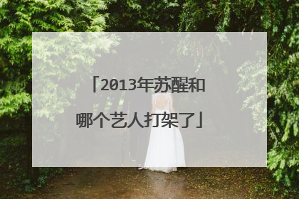 2013年苏醒和哪个艺人打架了