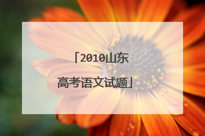 2010山东高考语文试题