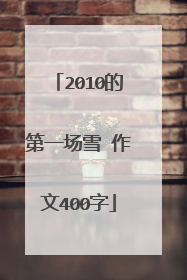 2010的第一场雪 作文400字
