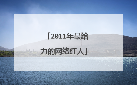 2011年最给力的网络红人