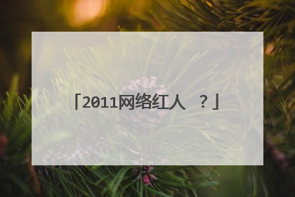 2011网络红人 ？