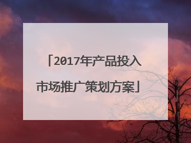 2017年产品投入市场推广策划方案