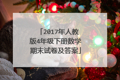 2017年人教版4年级下册数学期末试卷及答案