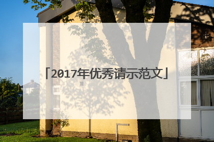 2017年优秀请示范文