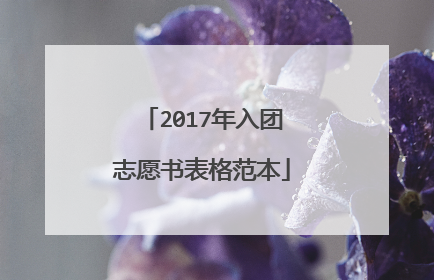 2017年入团志愿书表格范本