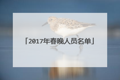 2017年春晚人员名单