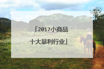 2017小商品十大暴利行业