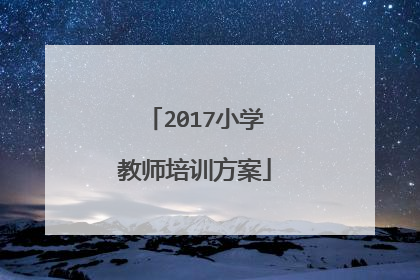 2017小学教师培训方案