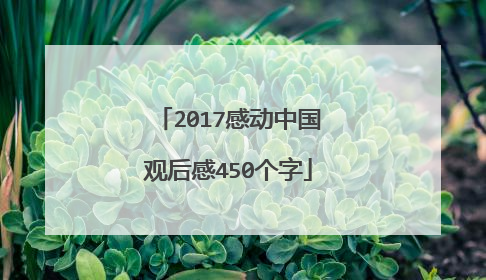 2017感动中国观后感450个字