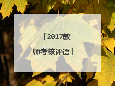 2017教师考核评语