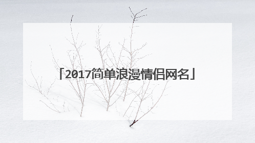 2017简单浪漫情侣网名