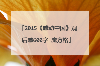 2015《感动中国》观后感600字 魔方格