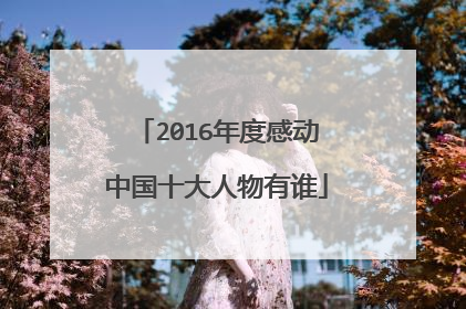 2016年度感动中国十大人物有谁