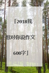 2018我想对你说作文600字