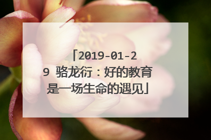 2019-01-29 骆龙衍：好的教育是一场生命的遇见