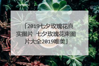 2019七夕玫瑰花真实图片 七夕玫瑰花束图片大全2019唯美