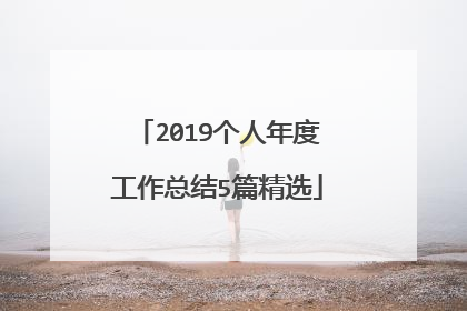 2019个人年度工作总结5篇精选