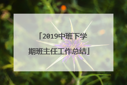 2019中班下学期班主任工作总结