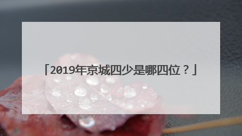 2019年京城四少是哪四位?
