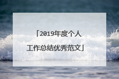 2019年度个人工作总结优秀范文