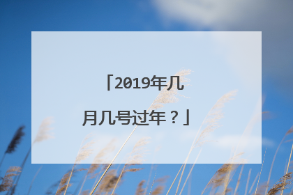 2019年几月几号过年？