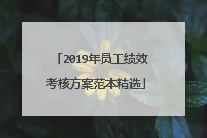 2019年员工绩效考核方案范本精选