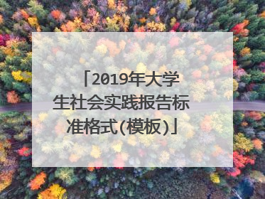 2019年大学生社会实践报告标准格式(模板)