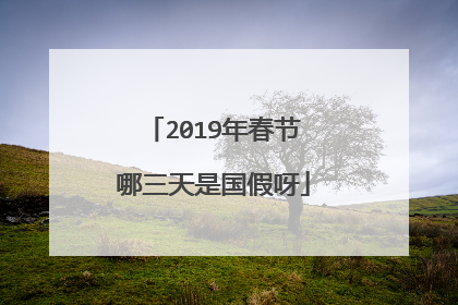 2019年春节哪三天是国假呀