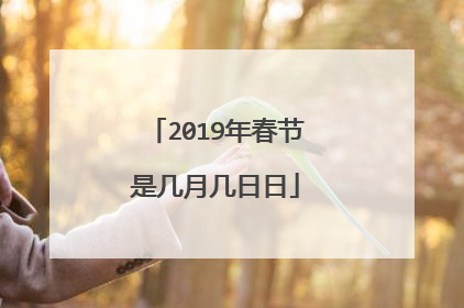 2019年春节是几月几日日