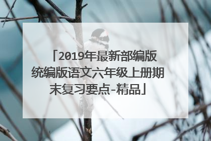 2019年最新部编版统编版语文六年级上册期末复习要点-精品
