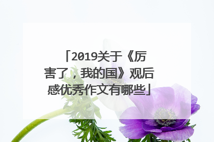 2019关于《厉害了,我的国》观后感优秀作文有哪些