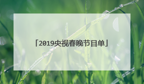 2019央视春晚节目单