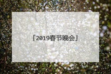 2019春节晚会