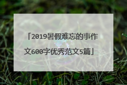 2019暑假难忘的事作文600字优秀范文5篇