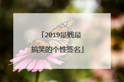2019最贱最搞笑的个性签名