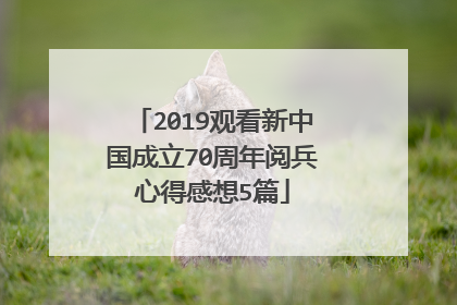 2019观看新中国成立70周年阅兵心得感想5篇